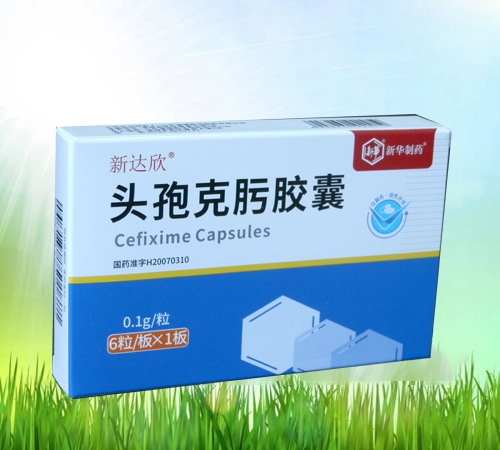 ���_(d��)�� �^&�߿���z������|�f����