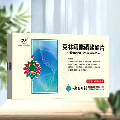 ����ù��������Ƭ