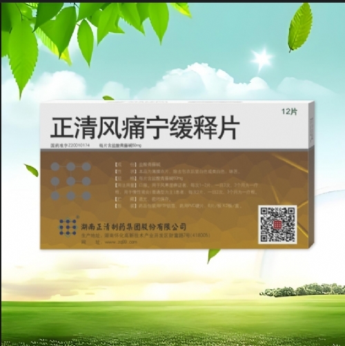 ����������ˎ���F�ɷ����޹�˾-�����Lʹ�����Ƭ