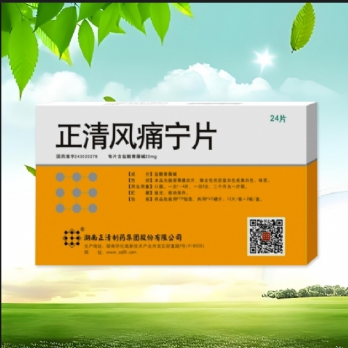 ����������ˎ���F�ɷ����޹�˾-�����L(f��ng)ʹ��Ƭ