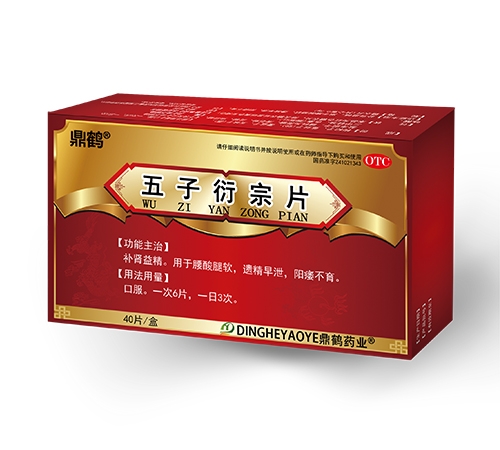 ��������Ƭ