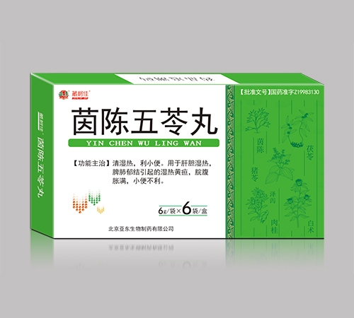 �ؿ¼� ���������